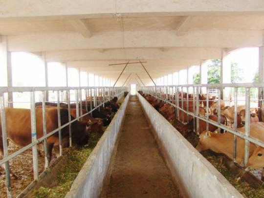 u=2241234587,3137636100&fm=27&gp=0_meitu_2.jpg u=2241234587,3137636100&fm=27&gp=0_meitu_2.jpg